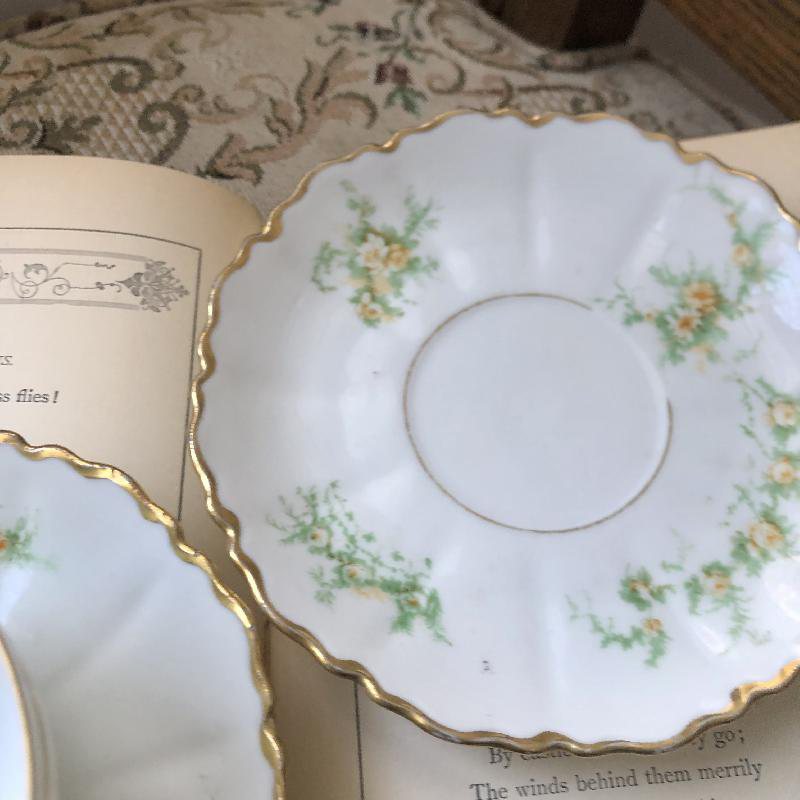 Antique 1889-1918 Made in Austria Hand-painted Floral Tea Set Duo Pair(MT086)