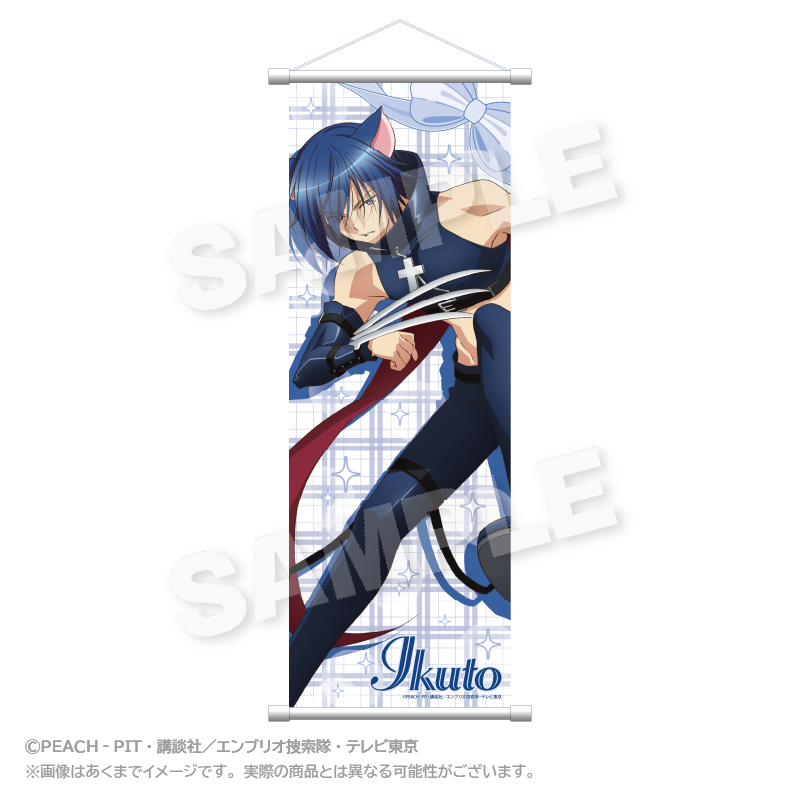 守護甜心 Shugo Chara! RED TOKYO TOWER限定 單人掛畫 #P-SCG0951 [Stella Notes] (PRE-ORDER) [2026/07]