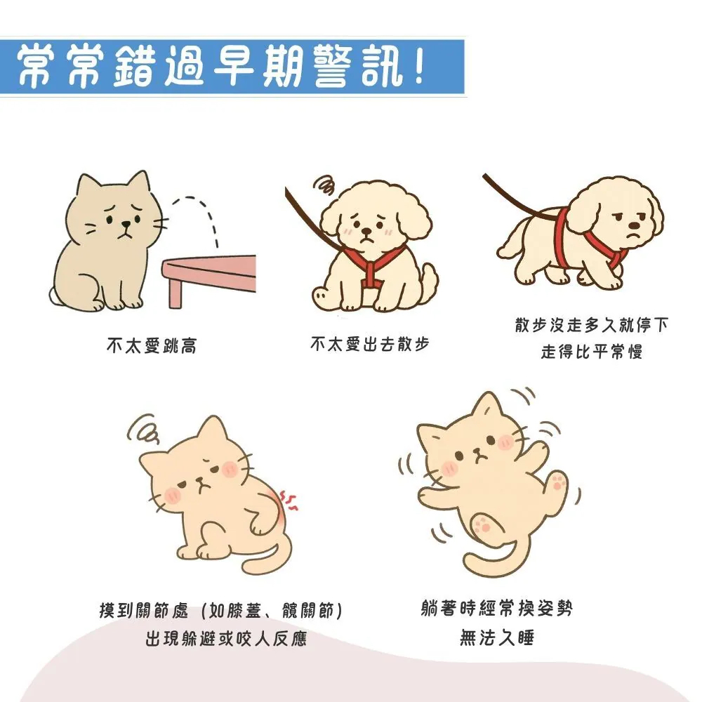 【台灣寵愛毛毛・惜命命關節保健】