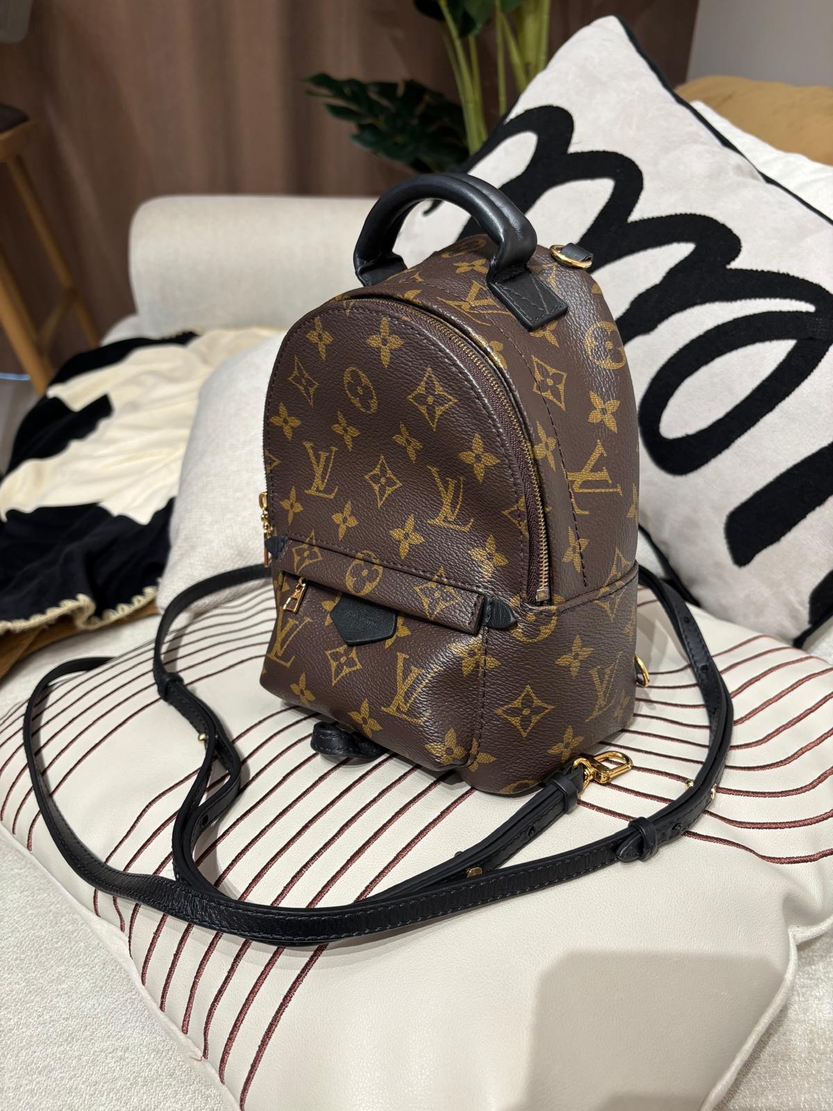 Lv mini Palm Springs backpack M44873 100%Authentic ,98%new ✅dust bag✅Strap