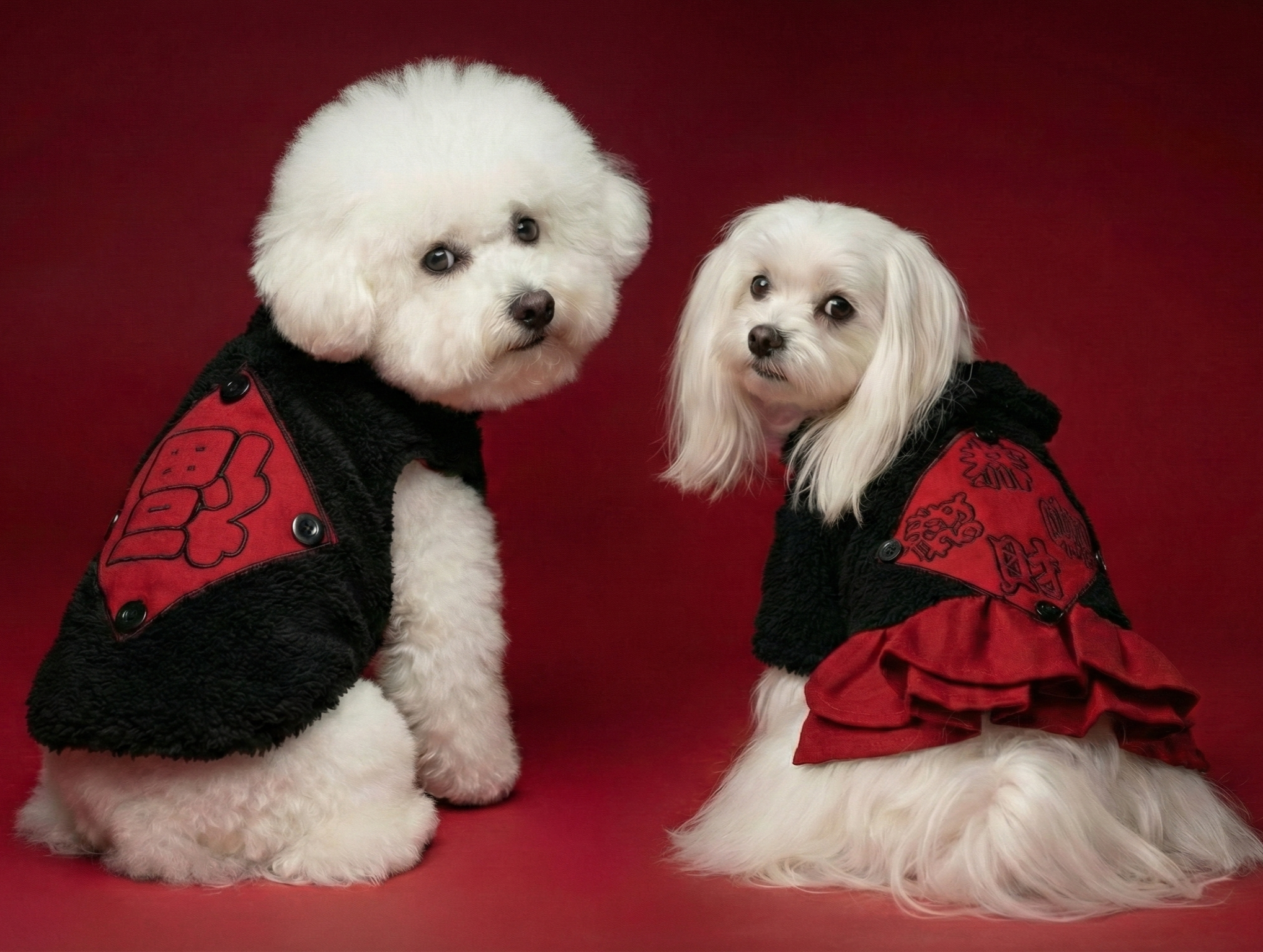 S214BK 貼布福字賀年衫