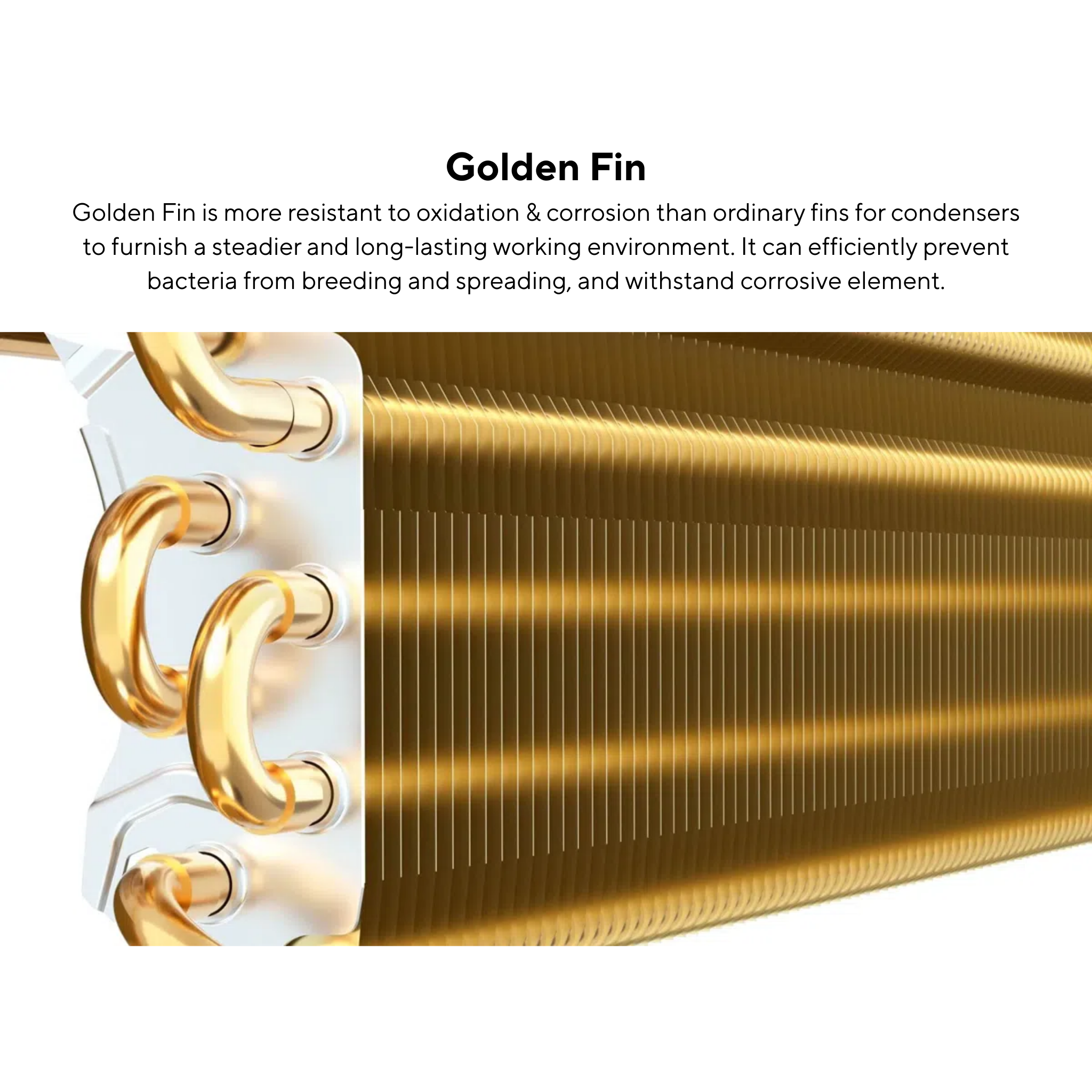 TCL 1.0HP Elite Series Non-Inverter Air Conditioner (TAC-09CSD/XAC1)