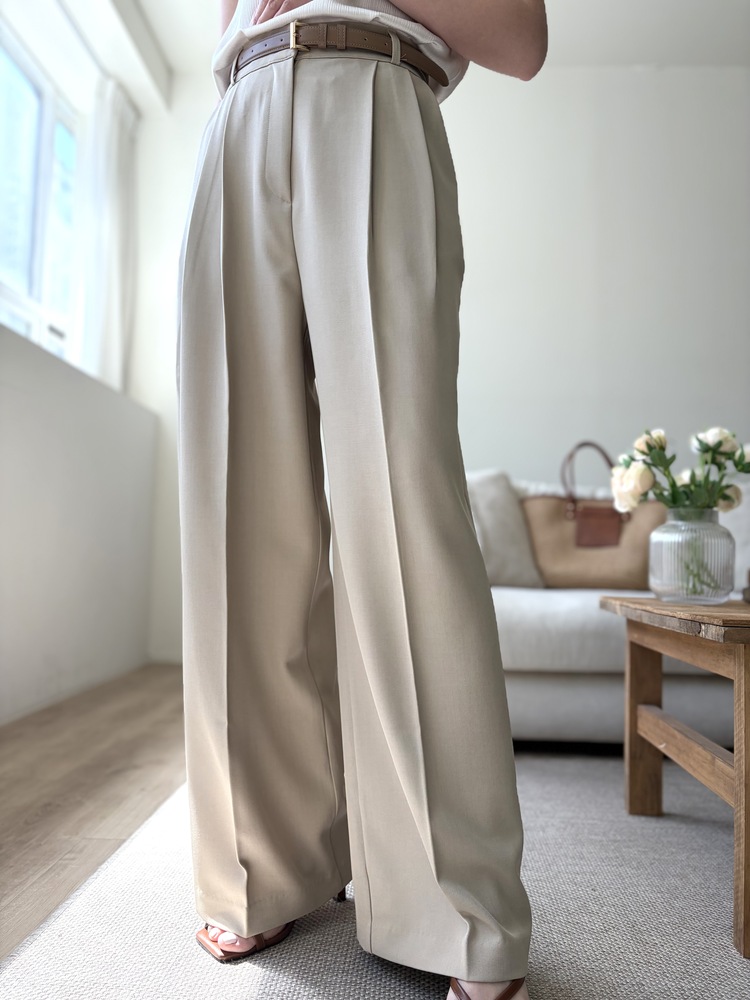 Timeless Pleated Flow Pants (Beige)