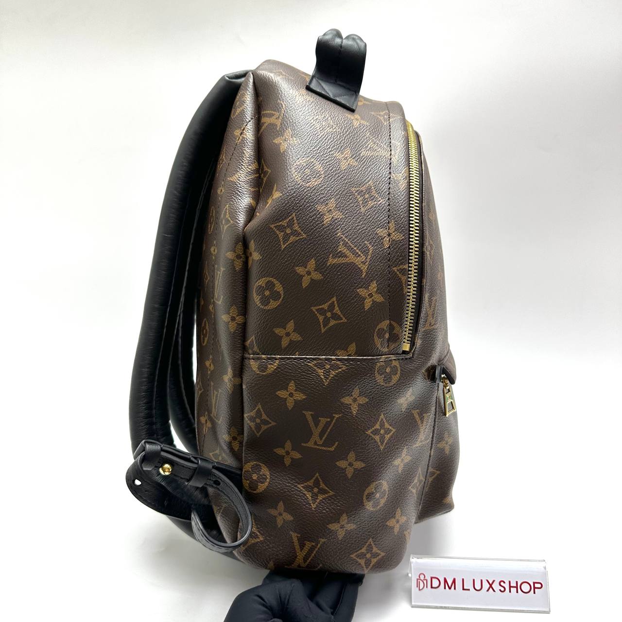 LV Monogram Palm Springs Backpack PM GHW