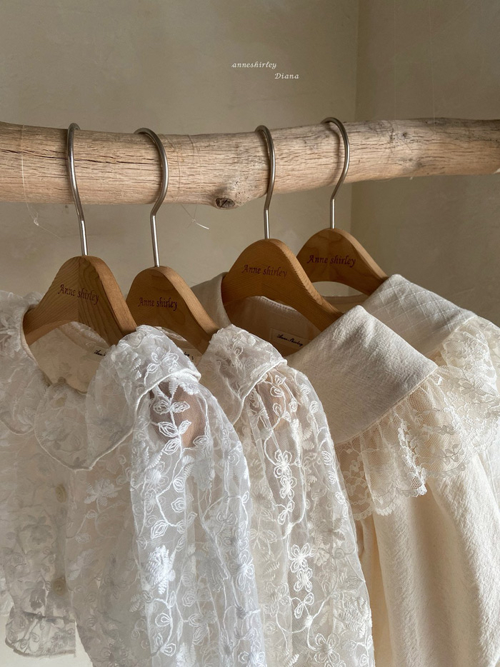 🇰🇷Anne shirley blouse