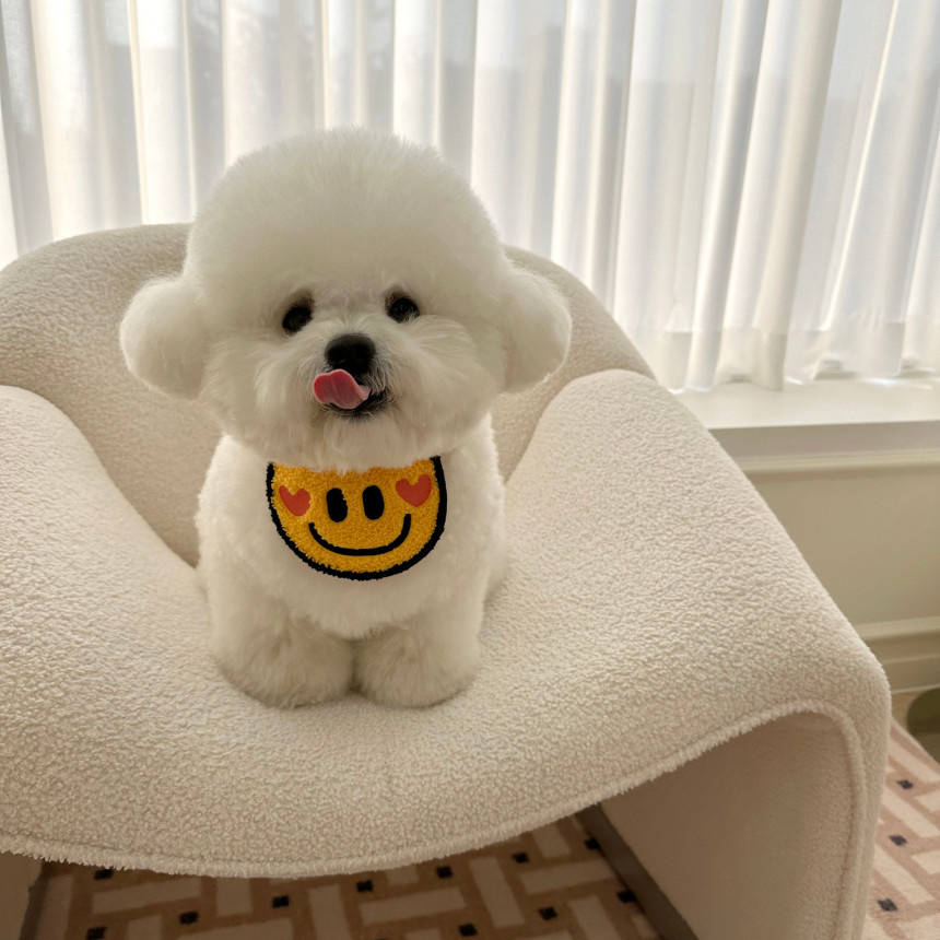 （現貨）韓國🇰🇷 smile cape 😊😊