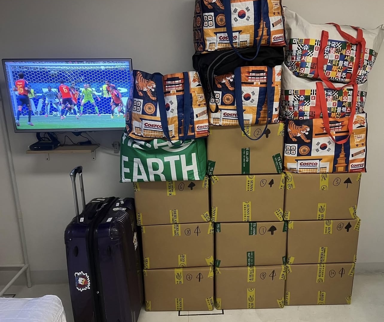 💟現貨💟🇰🇷韓國COSTCO 限量版老虎購物環保袋