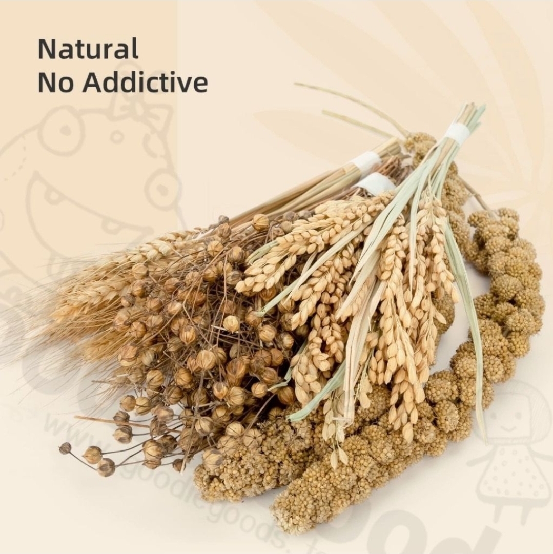 天然柔軟倉鼠寢具伴侶小動物棲息地裝飾適合敘利亞矮倉鼠沙鼠小鼠八齒鼠兔子或其他小型寵物