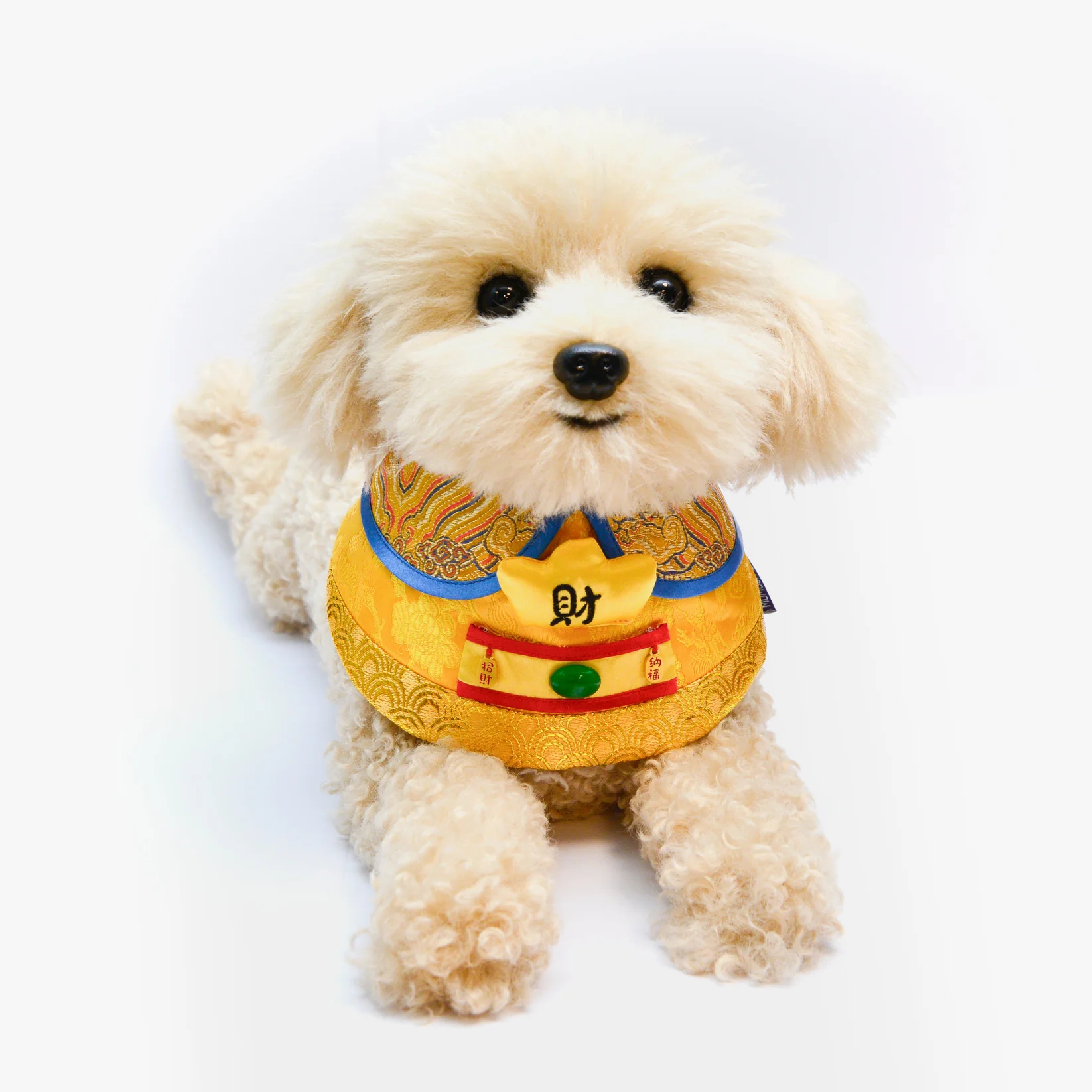 MOMOJI God of Wealth 財神