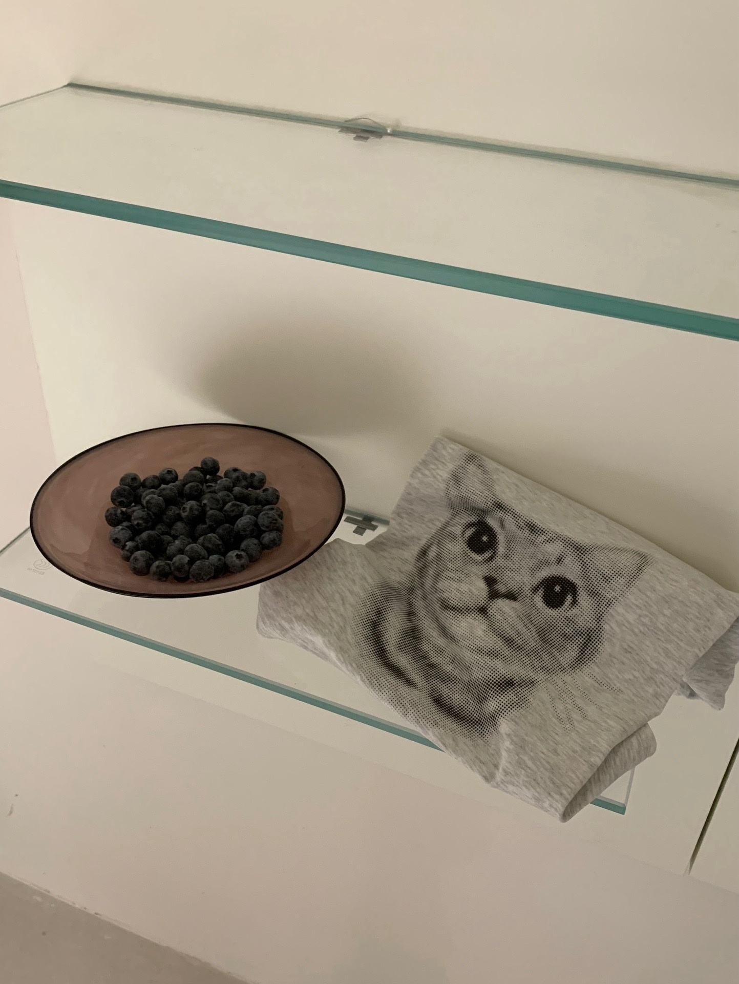 Oh Kitty Roundneck T-shirt Ins风可爱猫咪印花圆领短款Tee ( 2 colours )