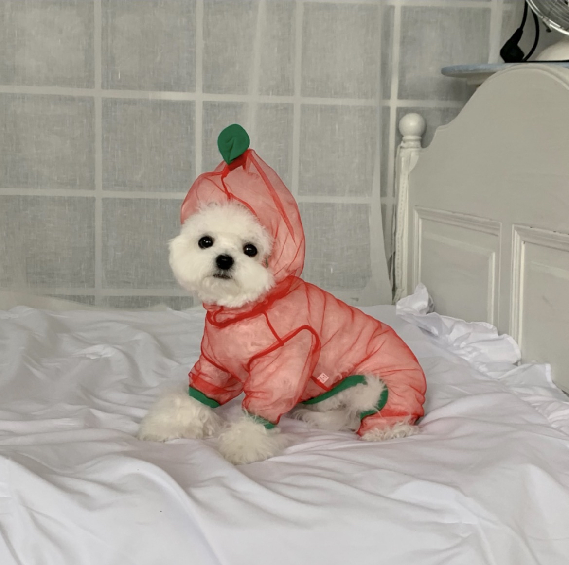 韓國🇰🇷水果造型防蟲衫