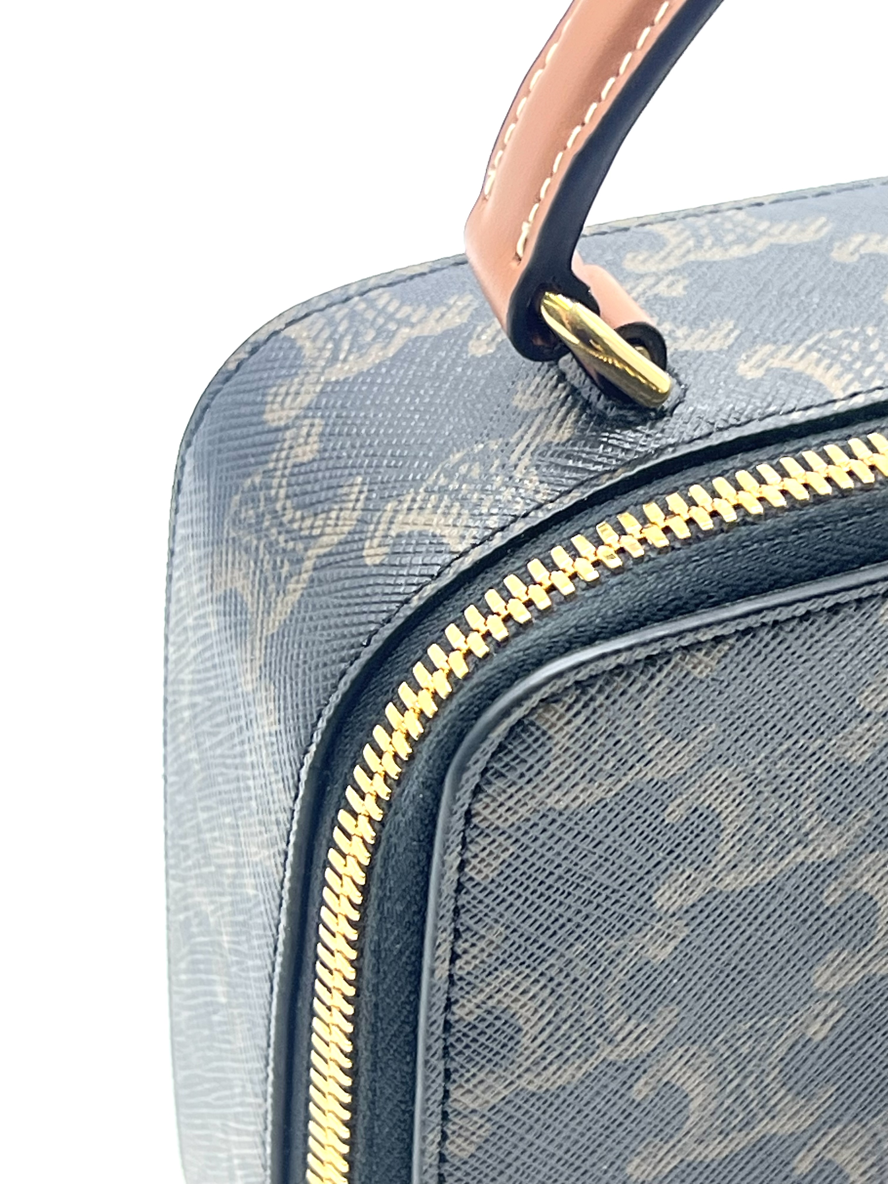 Pre-Owned CELINE Triomphe Vanity Case / Product Code: 26051704