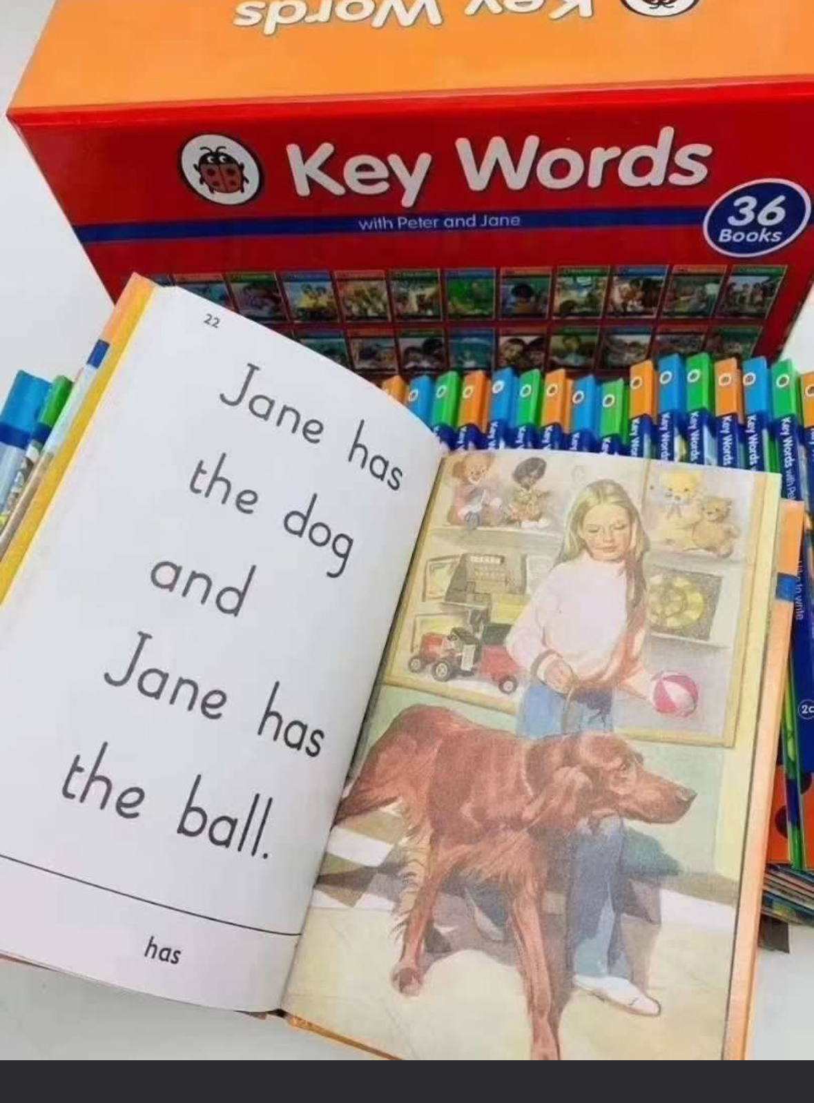 Ladybird key words box set 36 books