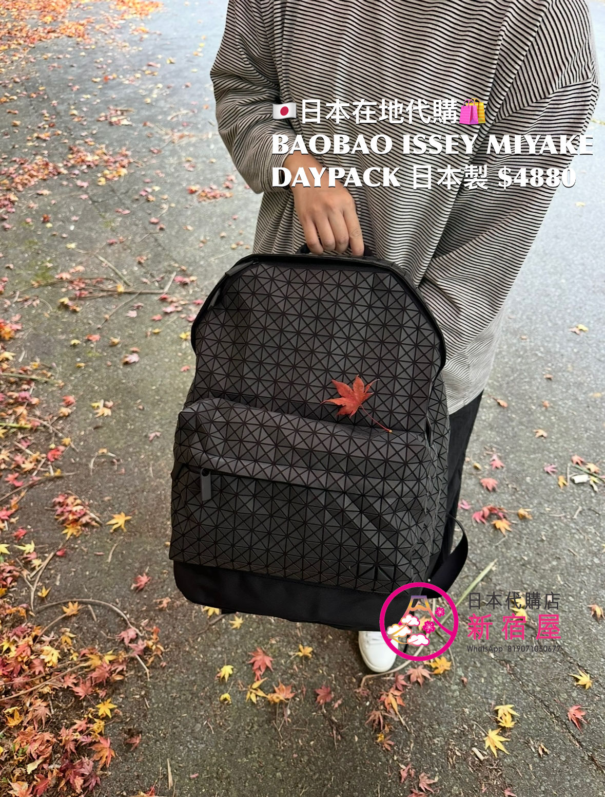 BAOBAO ISSEY MIYAKE DAYPACK