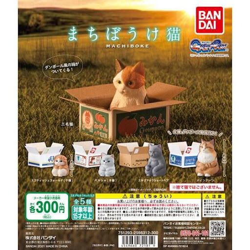 🌐代理版 MACHIBOKE 等待動物系列 待收養的貓 紙箱貓 子貓 貓仔 造型公仔 扭蛋 1套5款 