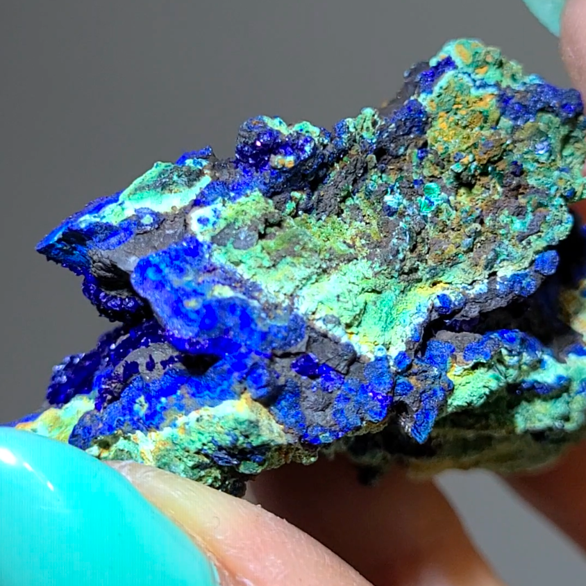 Azurite malachite chrysocolla cluster - AZ9