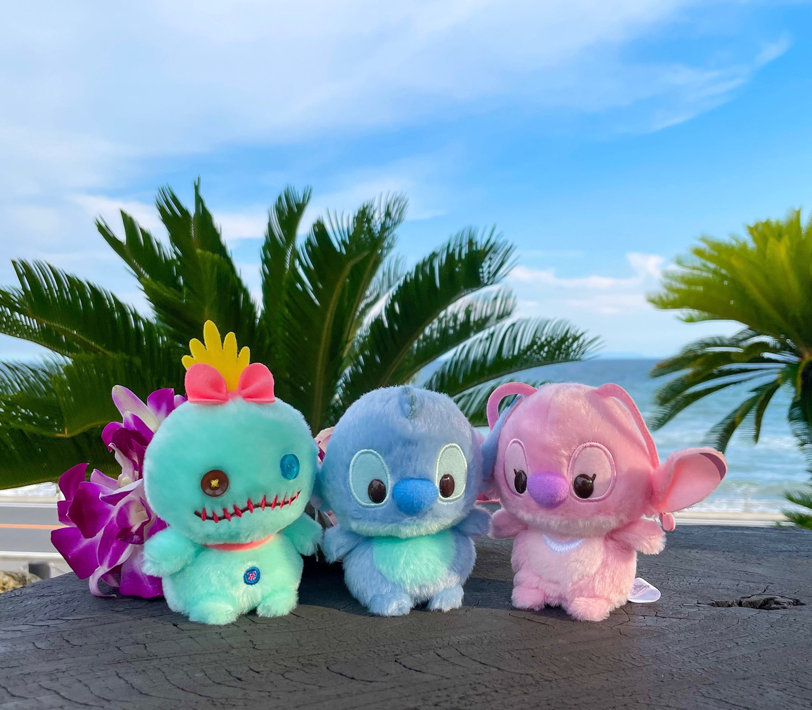 [現貨] [JDS] うるぽちゃちゃん ｜ STITCH ｜ SCRUMP ｜ ANGEL ｜ 迷你毛公仔 {TF2303005}