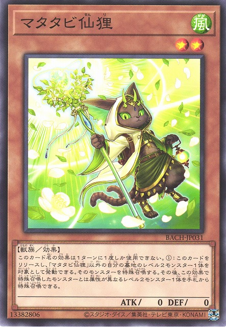 BACH-JP031 木天蓼仙貍