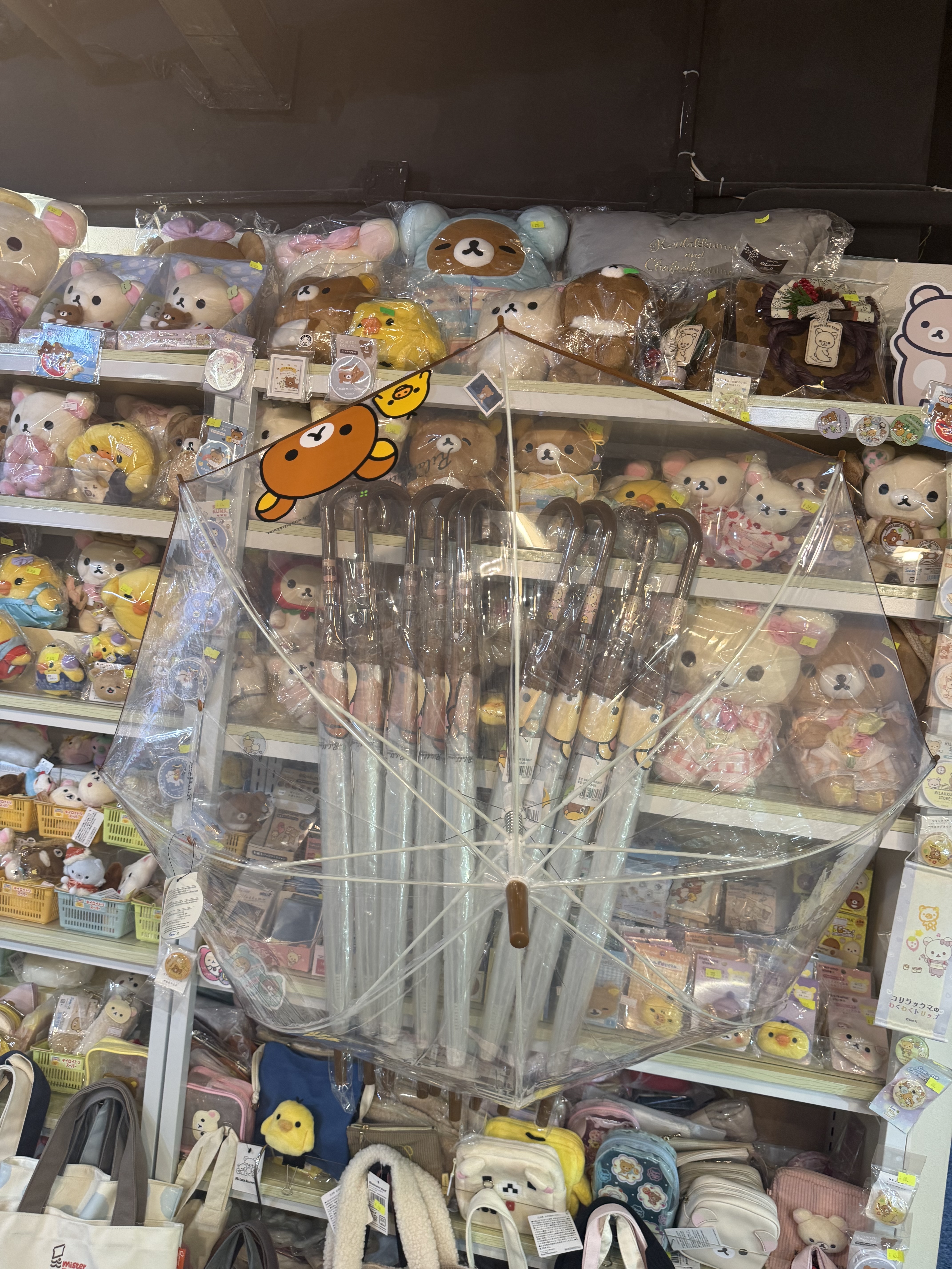 《現貨》全新Rilakkuma韓國專店限定 長身透明遮