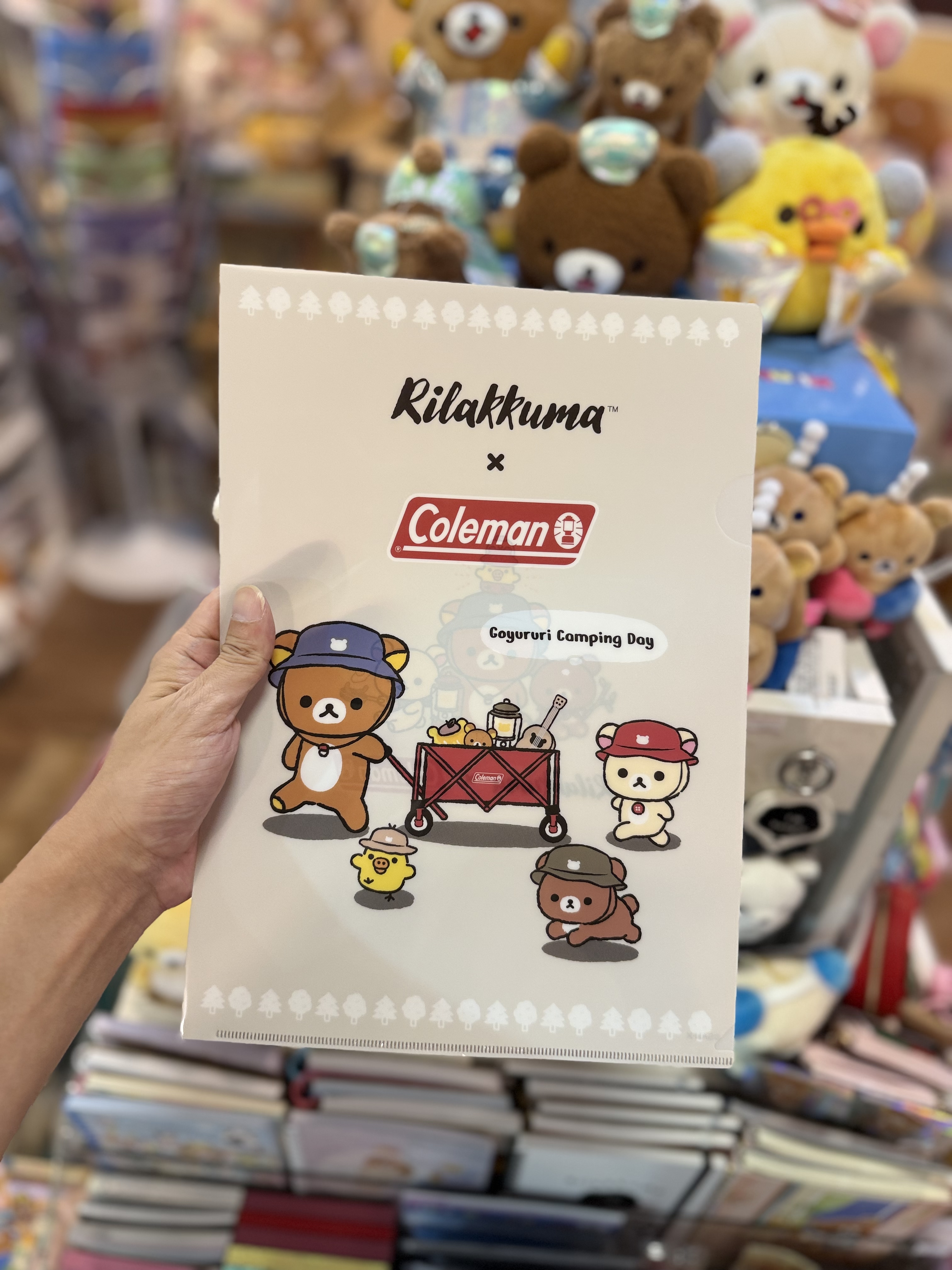 《現貨》全新日本專店限定 rilakkuma  x Coleman 對裝A4 file