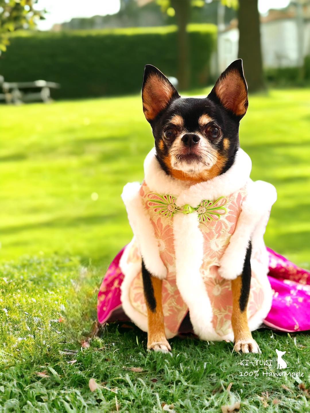 原創設計手作 寵物新春唐裝背心，歡迎訂製