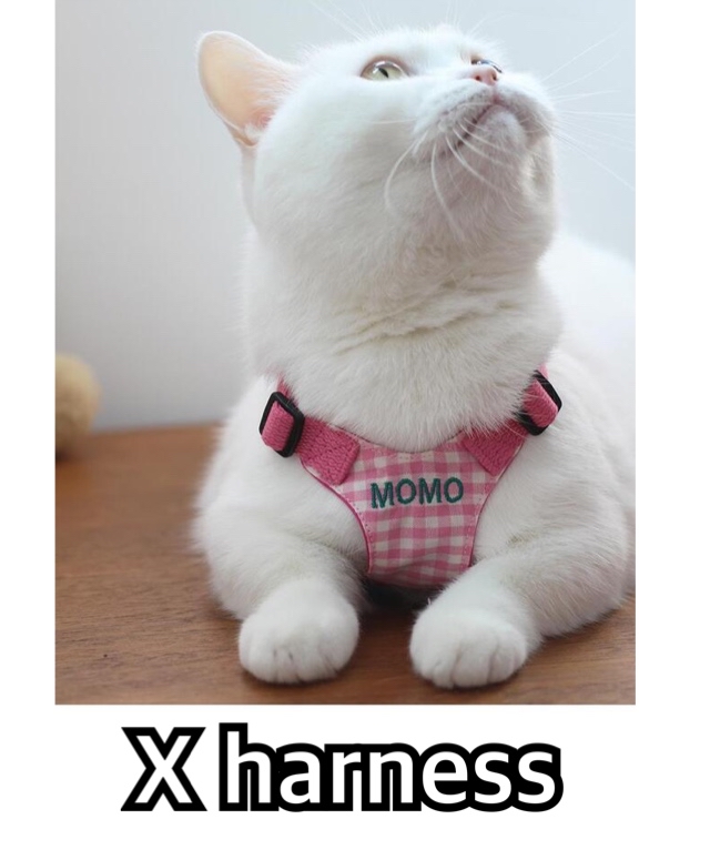 韓國🇰🇷 handmade 蝴蝶結Harness