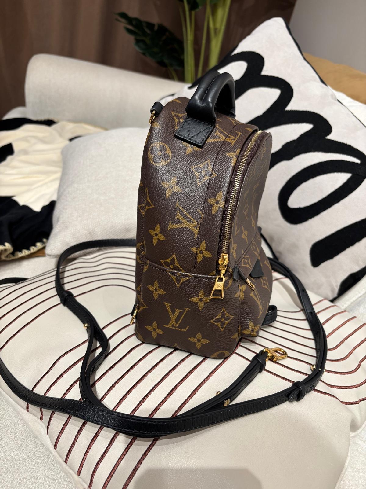Lv mini Palm Springs backpack M44873 100%Authentic ,98%new ✅dust bag✅Strap