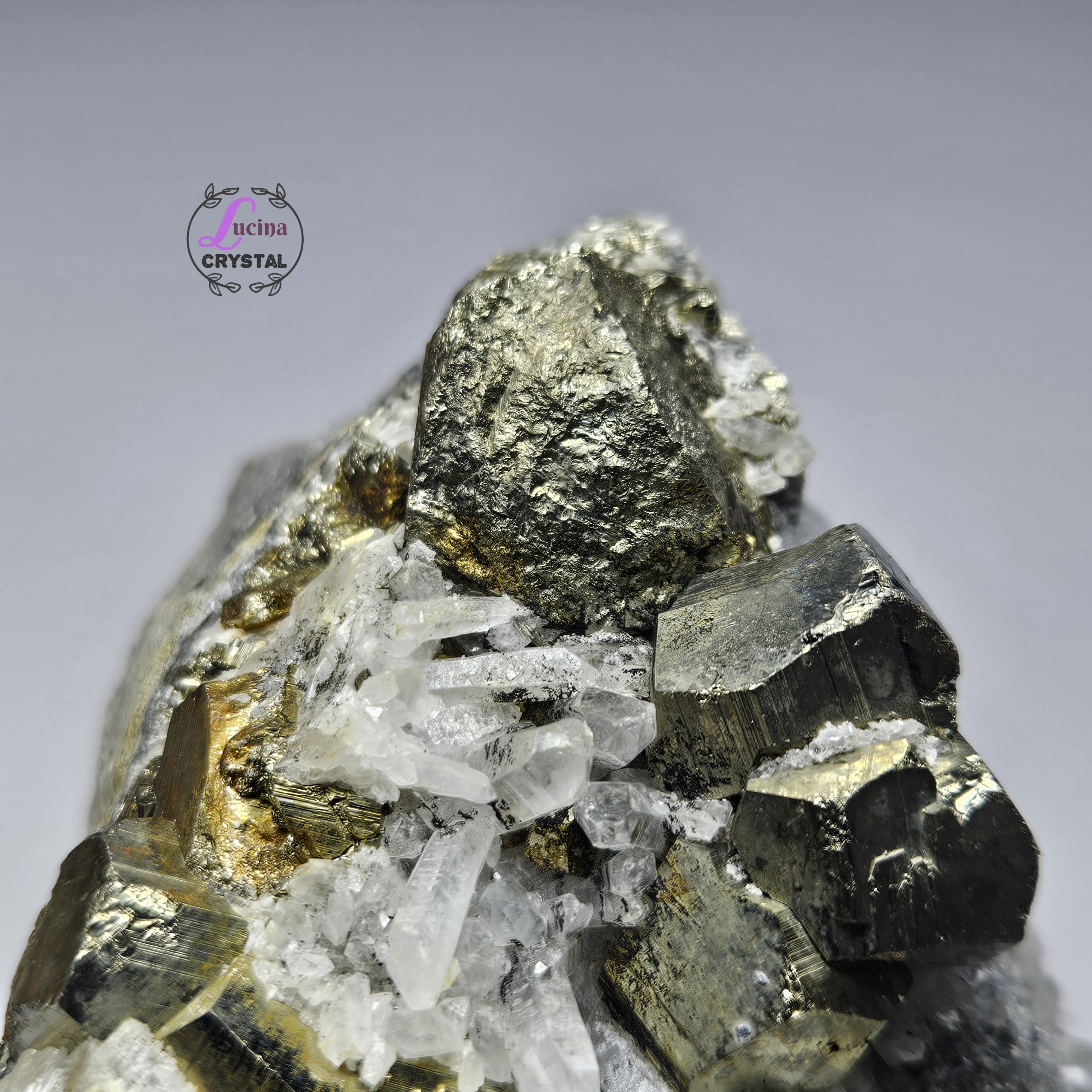 (Co#LC8546)白水晶共生黃鐵礦晶簇/White Quartz Crystal Cluster with 𝘗𝘺𝘳𝘪𝘵𝘦