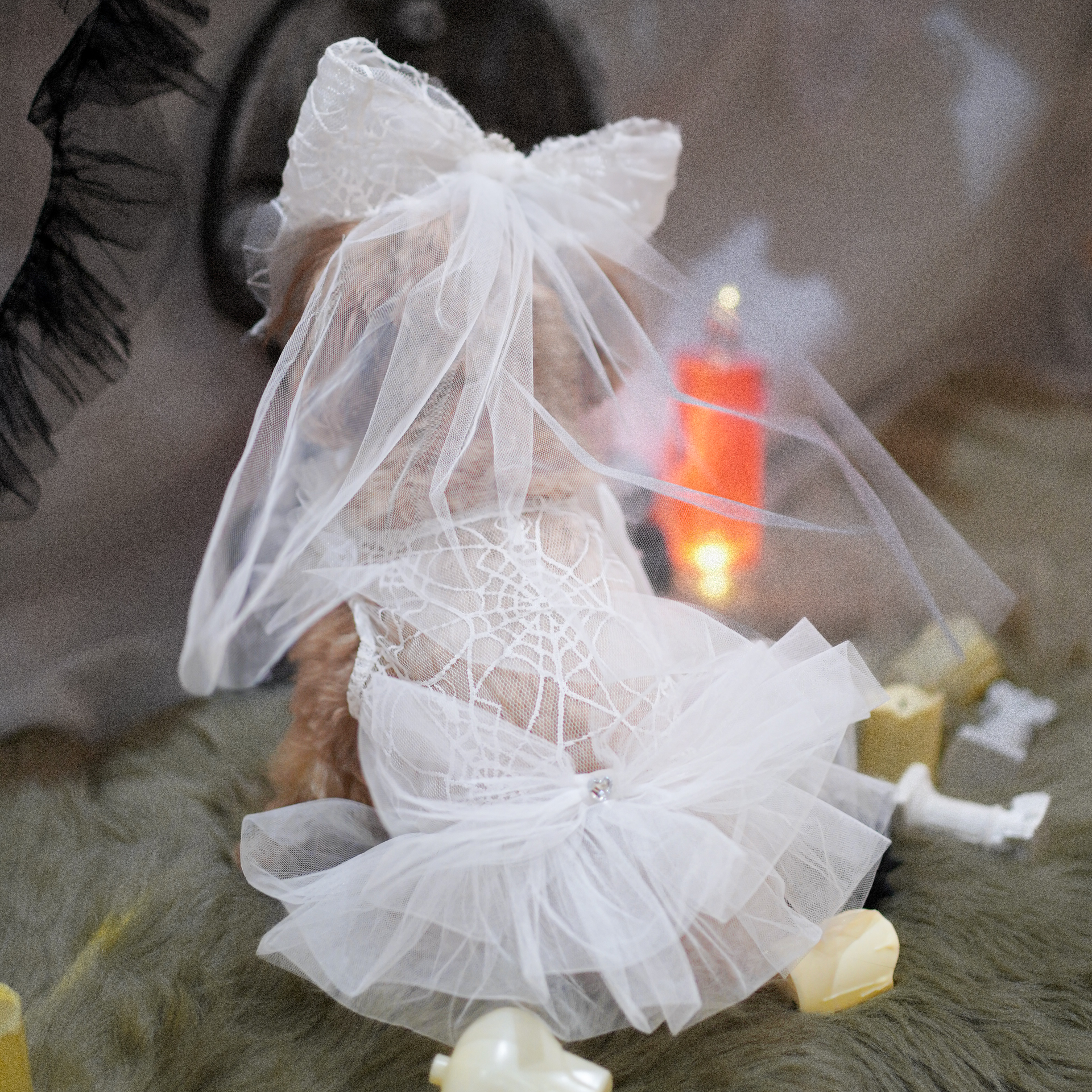 🎃Haunted Castle – Haunted Castle Bridal Veil