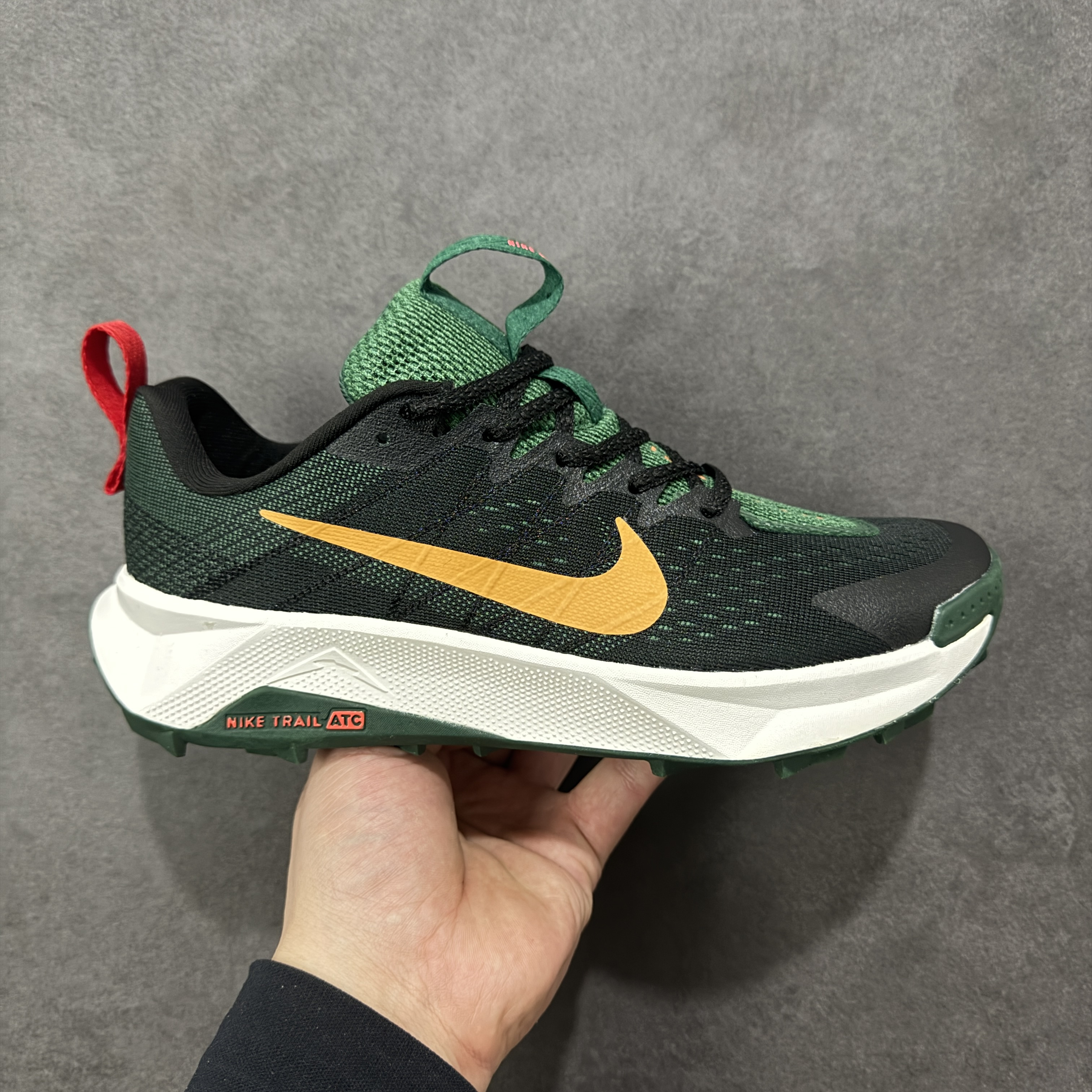 Nike Wildhorse 10 FV2338-005