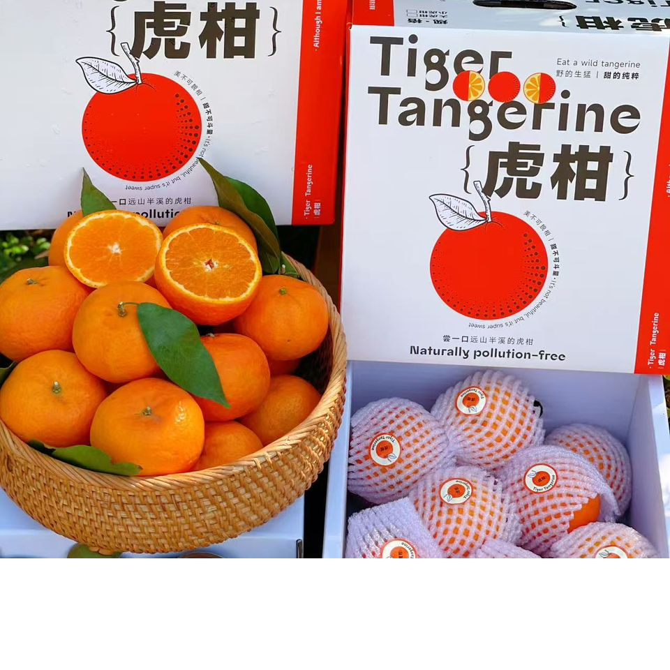 虎柑爆甜上市 TIGER TANGERINE  - 1 CTN - 2kg（12 TO 13PCS）