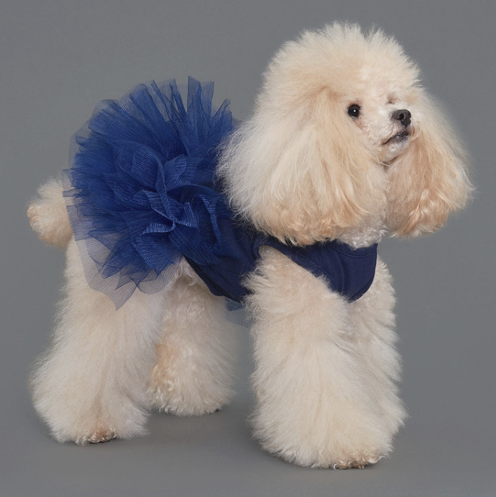 *SuperPet🇰🇷狗狗超夢幻蓬蓬蛋糕紗裙