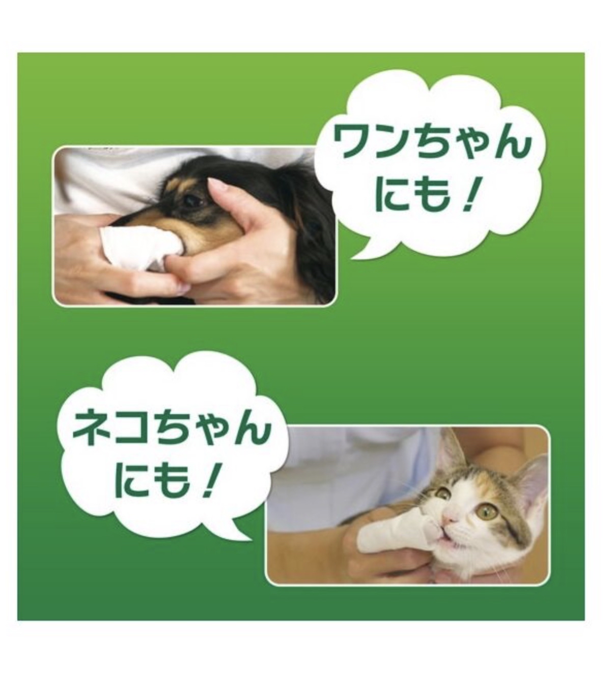 Lion Pet 日本獅王 Petkiss 潔齒濕紗布 30片 (貓狗可用) 