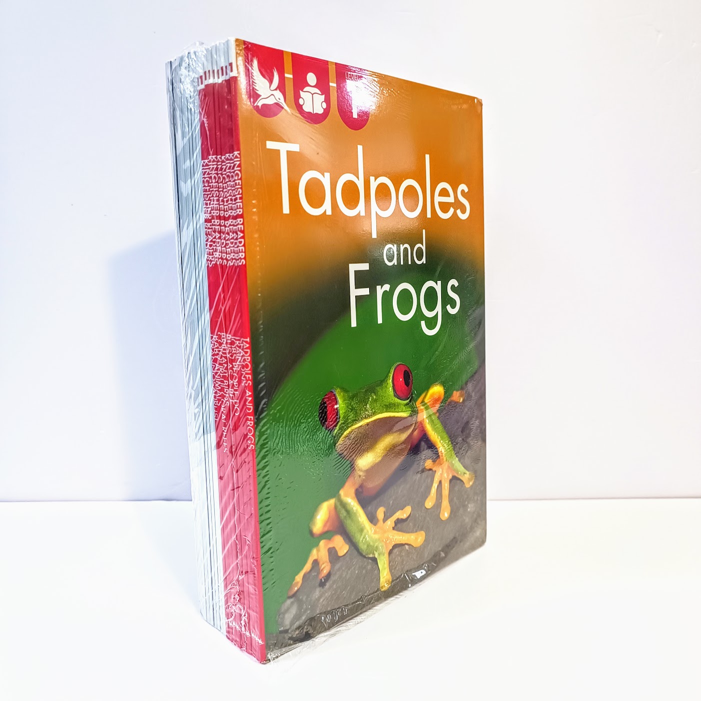 Kingfisher readers beginning to read 20 bookset L1-L2-L3 | B126