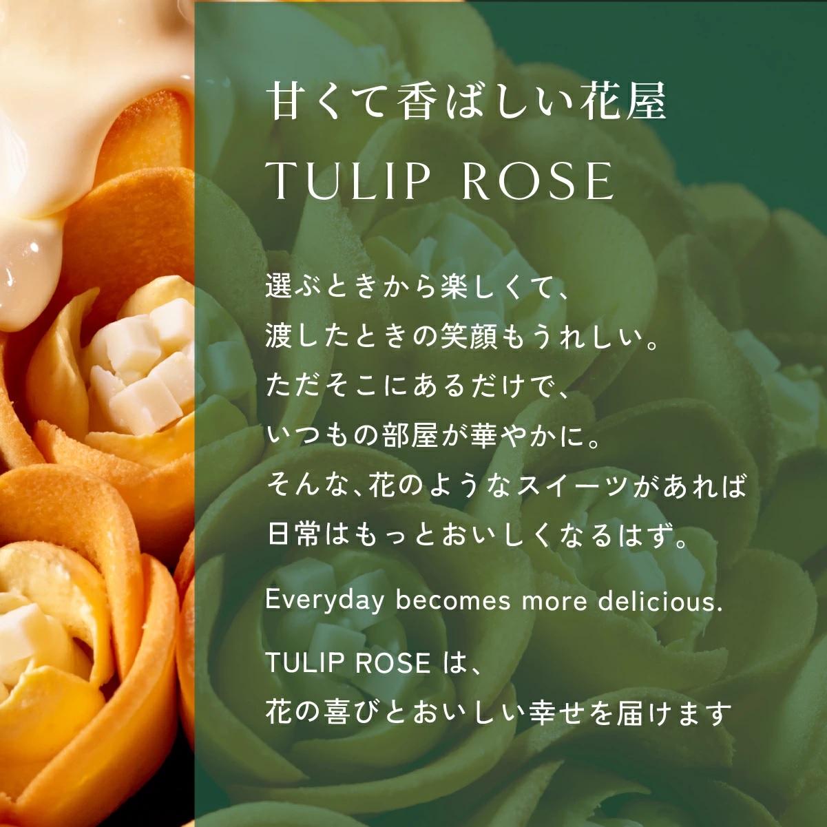 TULIP ROSE チューリップローズ in season　15袋入 - 01260330