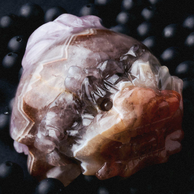 Ignite Root Dragon Turtle