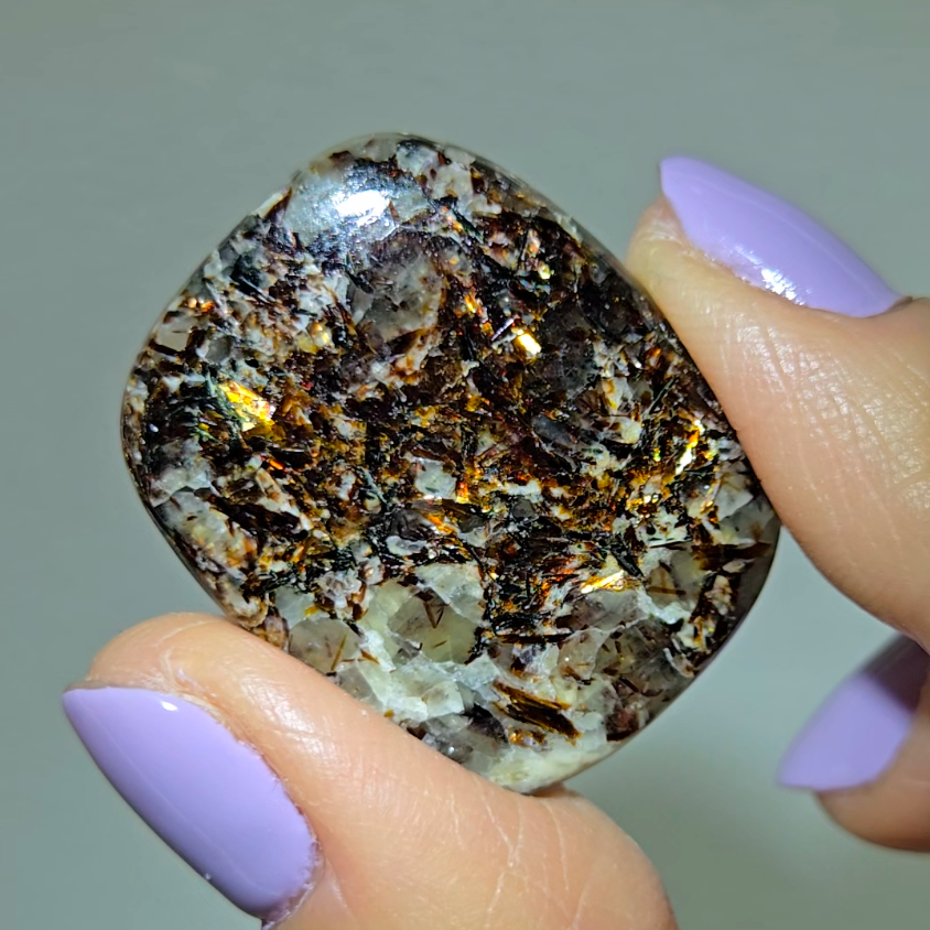 Astrophyllite cabochon with golden-bronze metallic inclusions - AST20