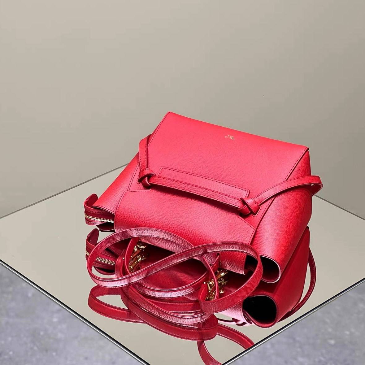 🔥大货实拍图 𝗖𝗘𝗟𝗜𝗡𝗘 ♥️ 𝗕𝗘𝗟𝗧 𝗠𝗜𝗖𝗥𝗢 型号：189153 尺寸：24*20*13cm