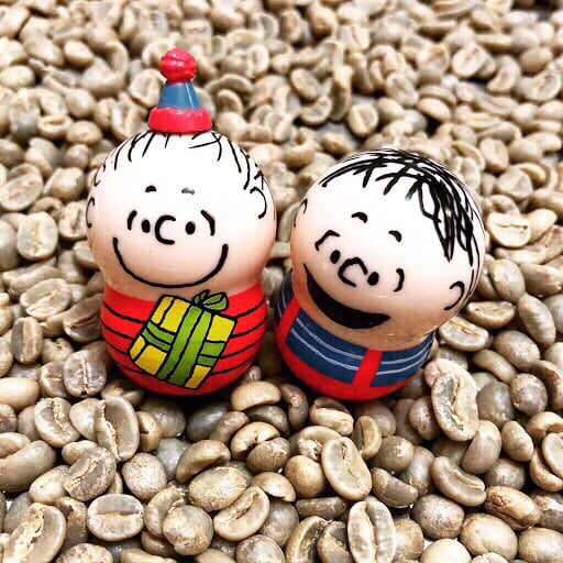 Panama washed Volcan Carmen Estate Caturra Washed