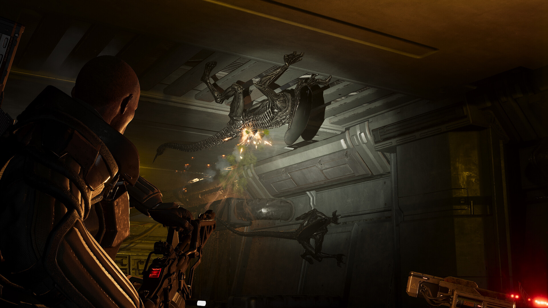 異形：特戰菁英 2            Aliens: Fireteam Elite 2｜Sony Playstation 5