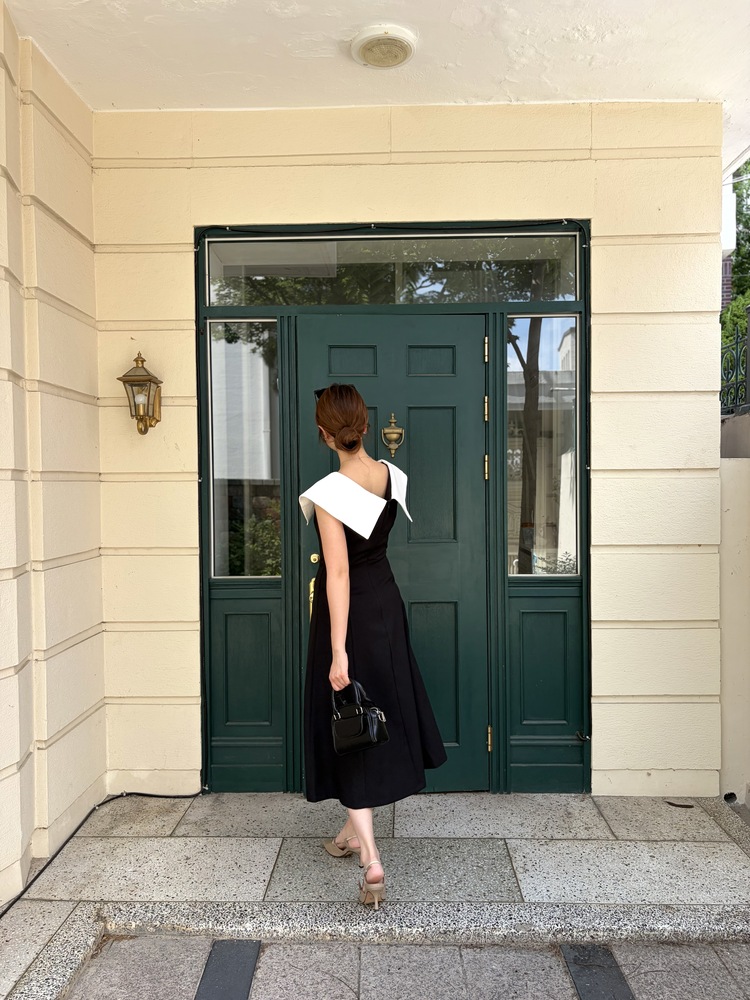 Celine Contrast Collar Dress
