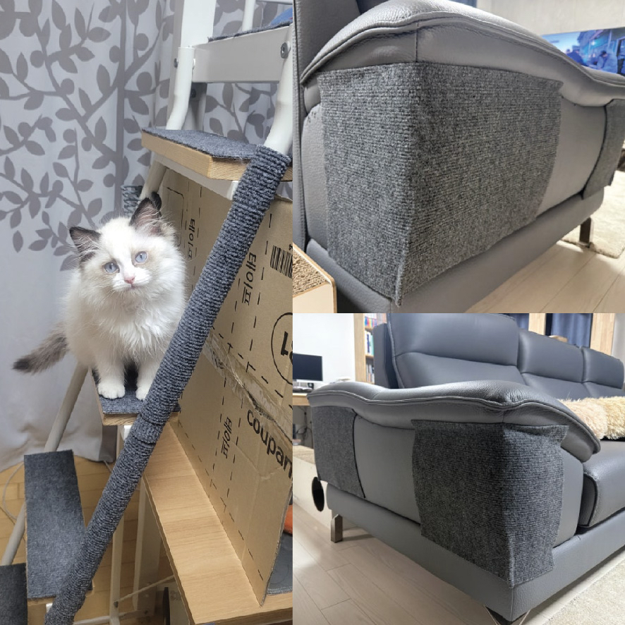 防貓磨抓遮醜梳化牆貼