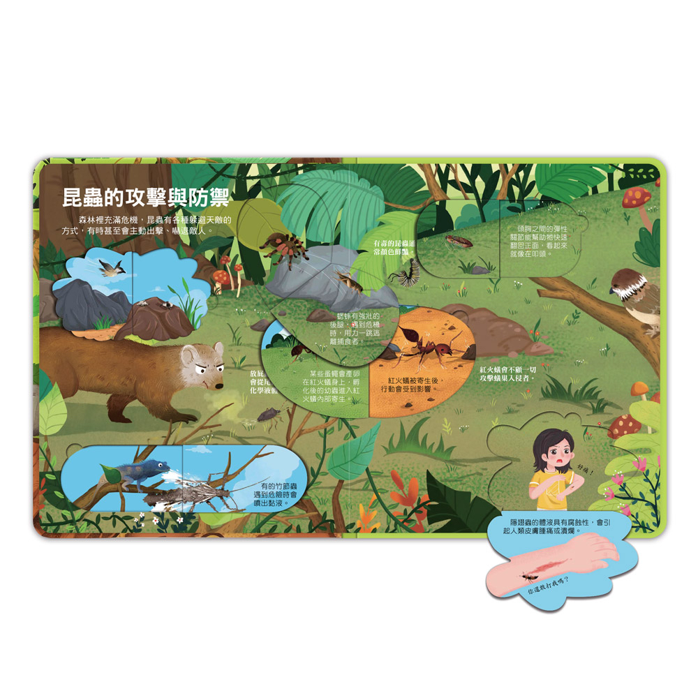 📚預訂 台灣直送📚百問百答圖解翻翻書-揭祕昆蟲