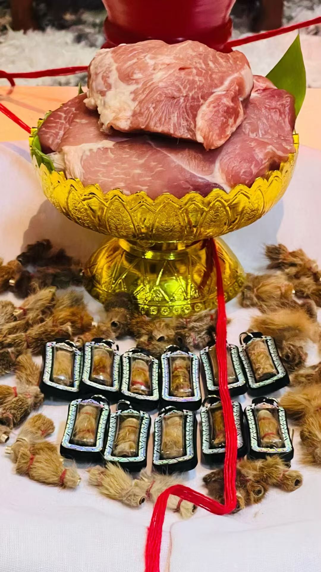 阿贊楠奧 金貓皮符管 (Takrut Suea Fai)：無上權力的象徵，鎮宅行為偏邪不正當的聖物 