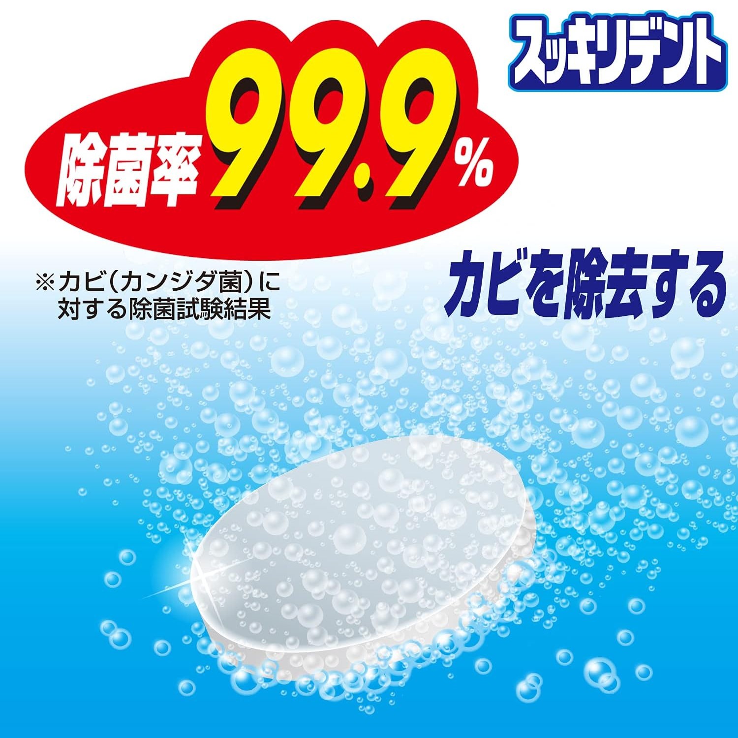🔥🔥【日本製《LION 獅王》薄荷味酵素假牙清潔錠 120片裝】