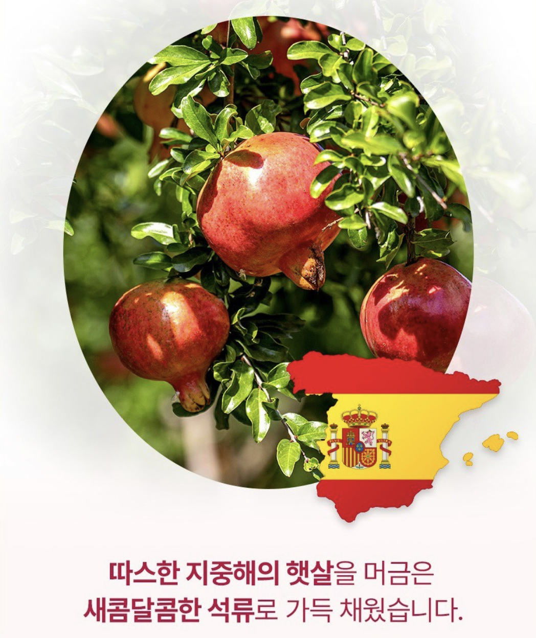 韓國 Taylor 100% 濃縮紅石榴汁 10包/盒｜Daily Pomegranate Juice