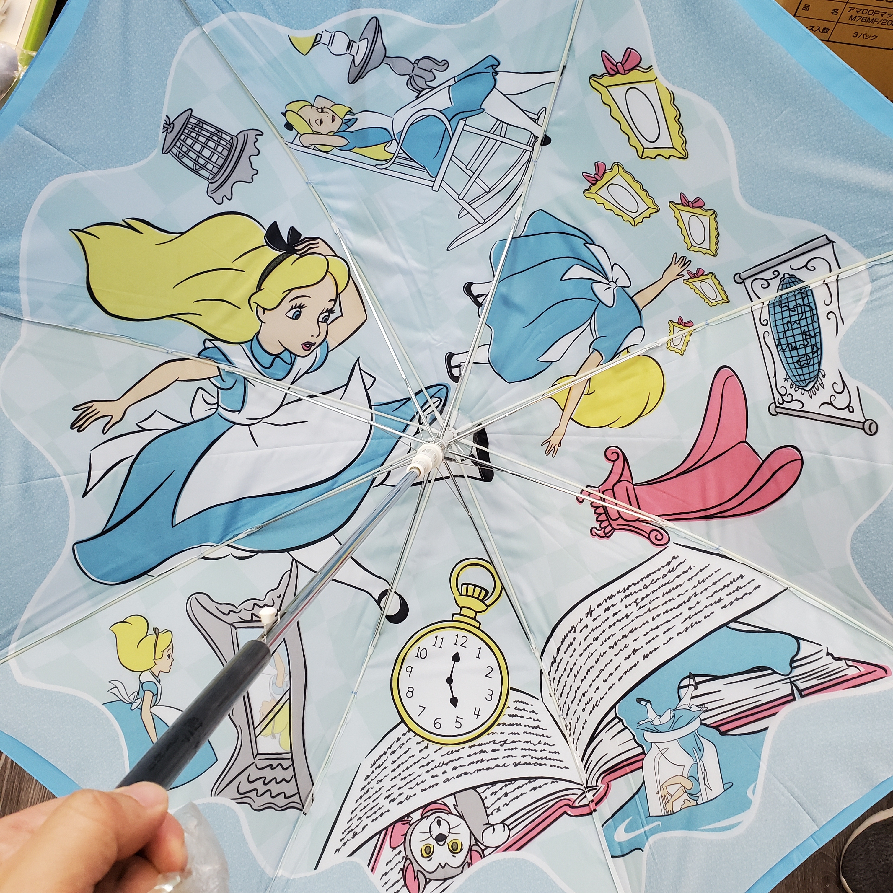 [現貨] [DS] 愛麗絲長遮 {TF210828}