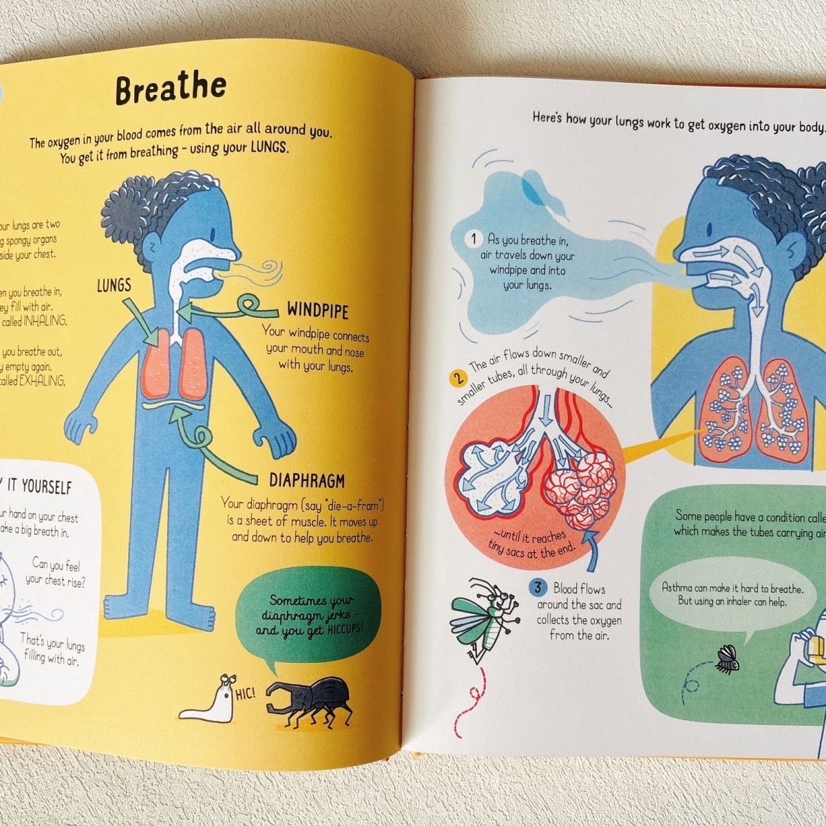 All You Need to Know about Your Body by Age 7 