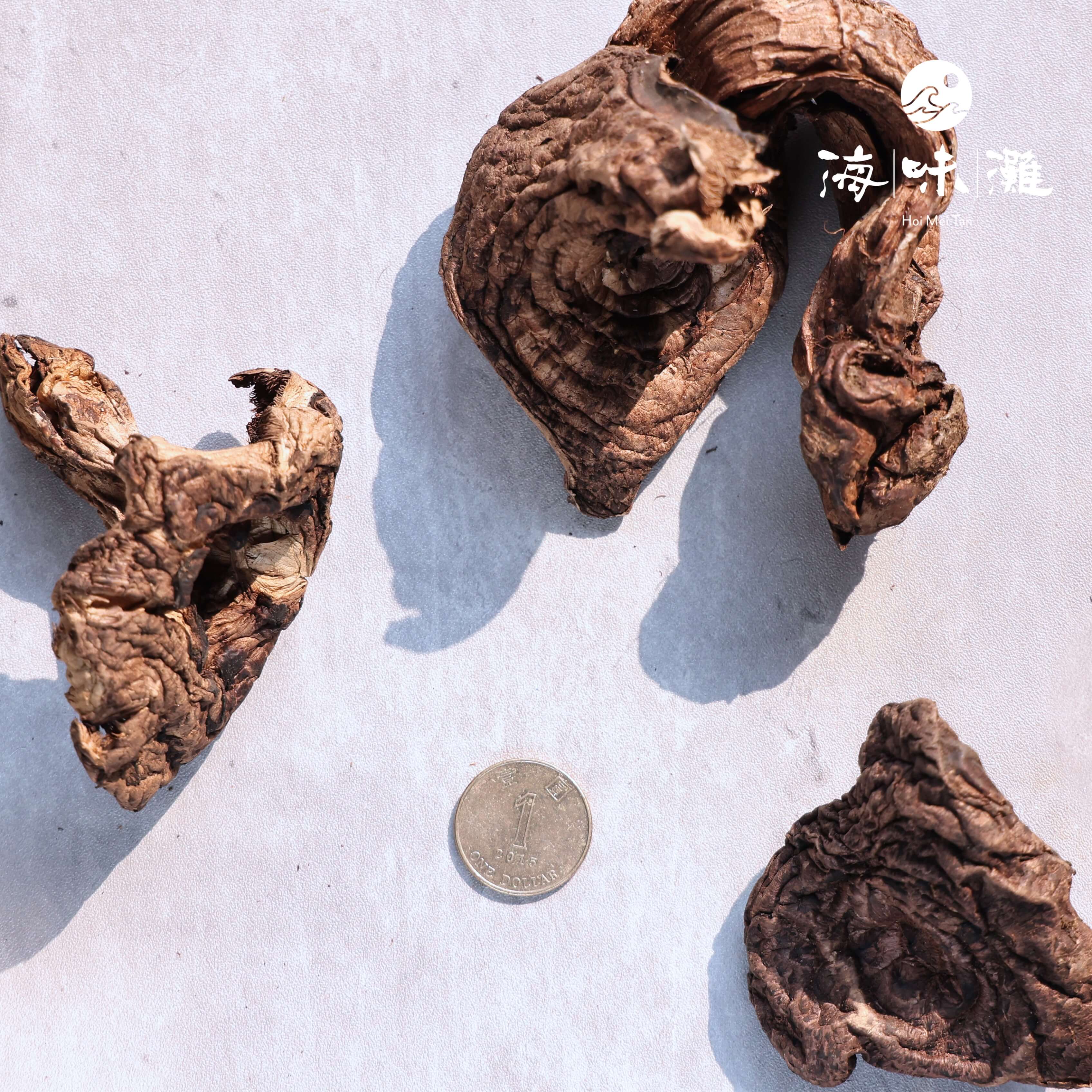 雲南黑虎掌菌｜歷代貢品｜香氣獨特｜炒餸燉湯皆可