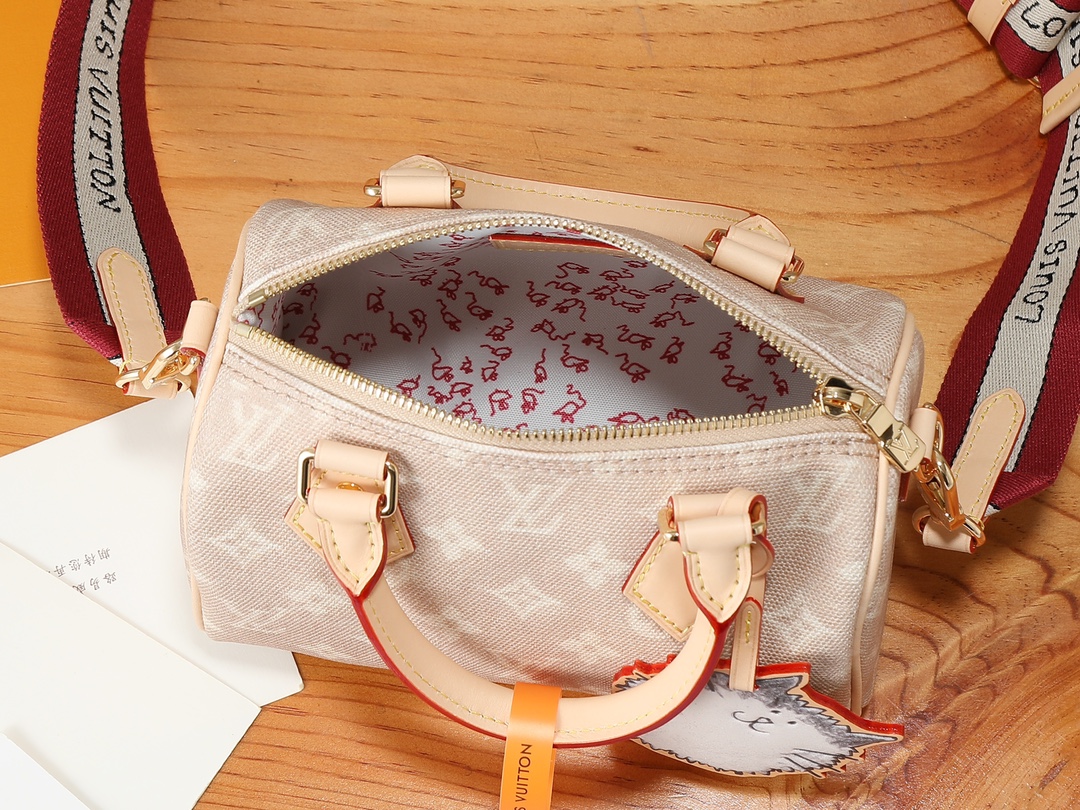 LV Louis Vuitton Speedy Bandouliere 20